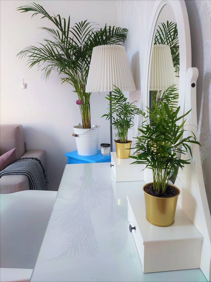 Всекидневна зона