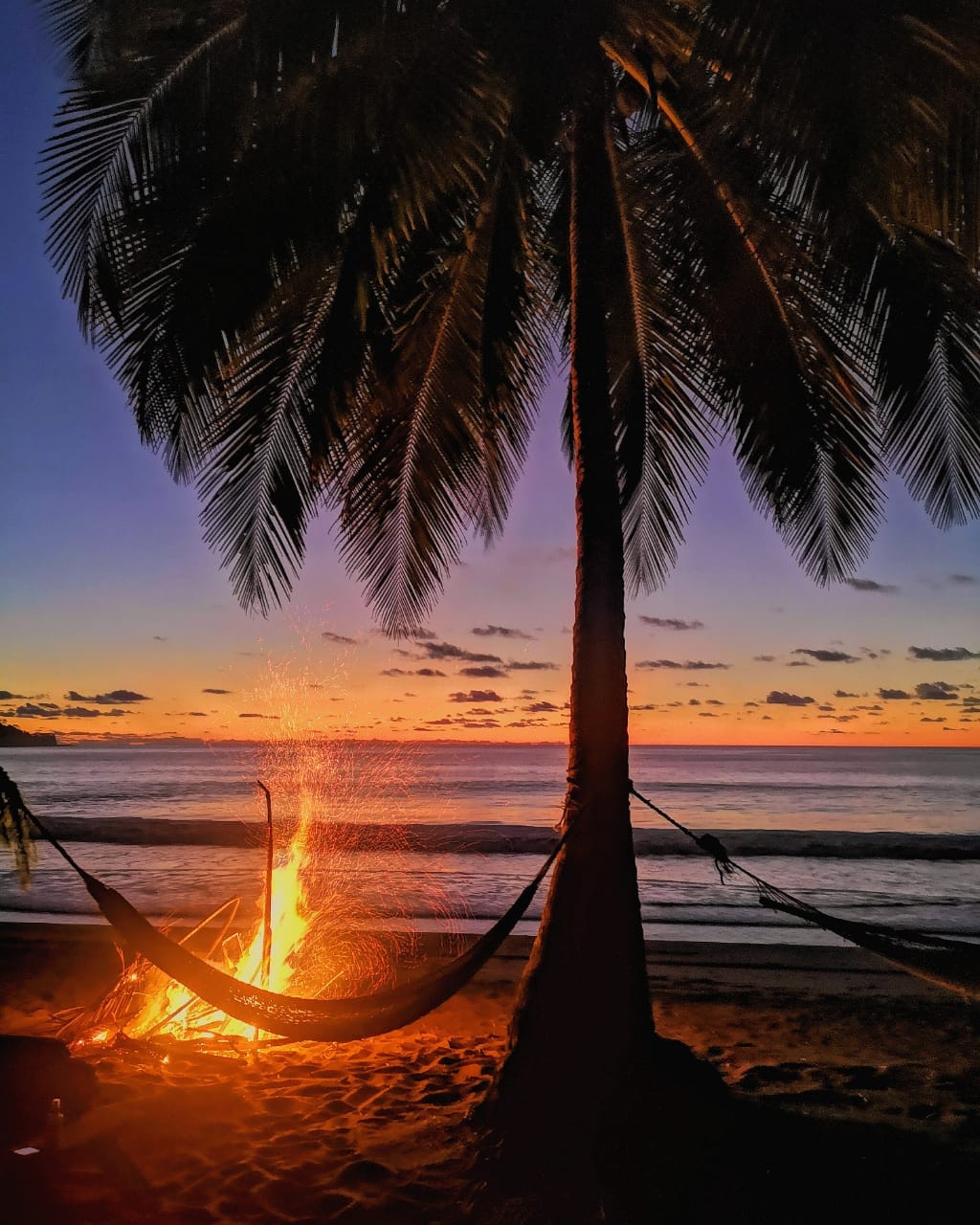 A serene beach scene at dusk features a glowing fire pit beside a gently swaying hammock. Tall palm trees frame the view, with the horizon painted in soft hues of orange and purple, reflecting the tranquility of a coastal evening.