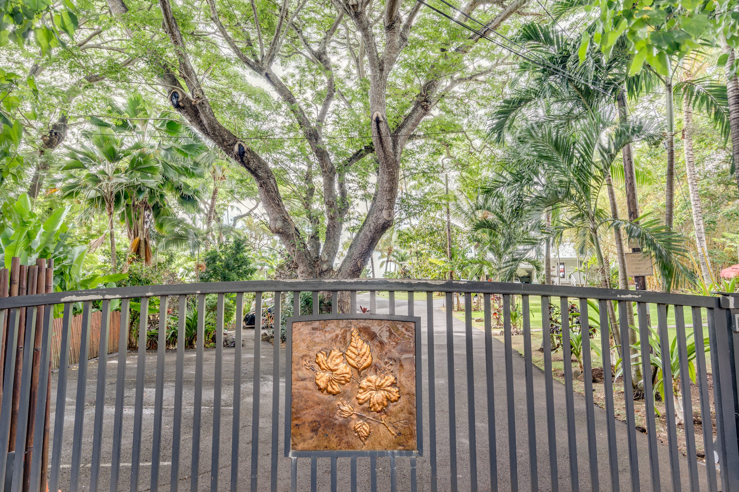 Bird Of Paradise @ Ke Iki Beach Bungalows +Yoga - Photo 15