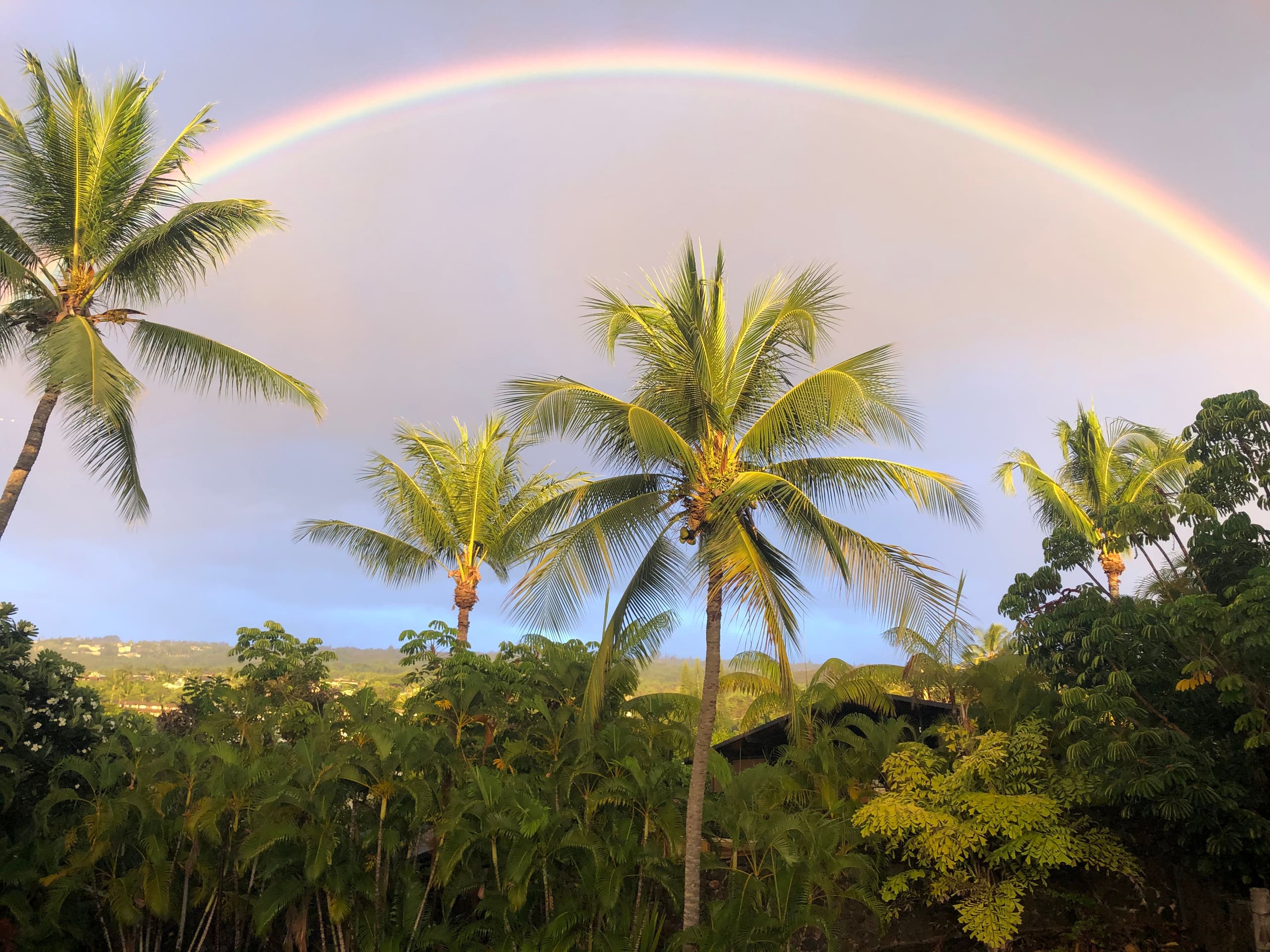 Home in Kailua-Kona · ★4.91 · 3 bedrooms · 5 beds · 3 private baths - Image 40