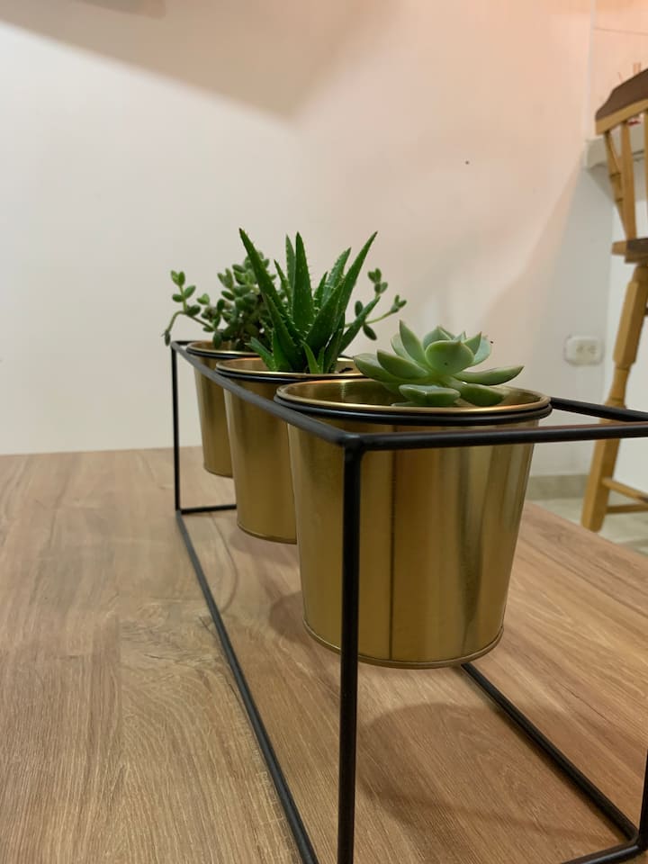 غرفة المعيشة