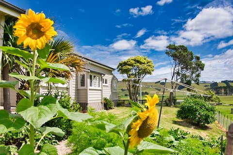Successful Airbnb property: Aranga Farm Stay in Northland