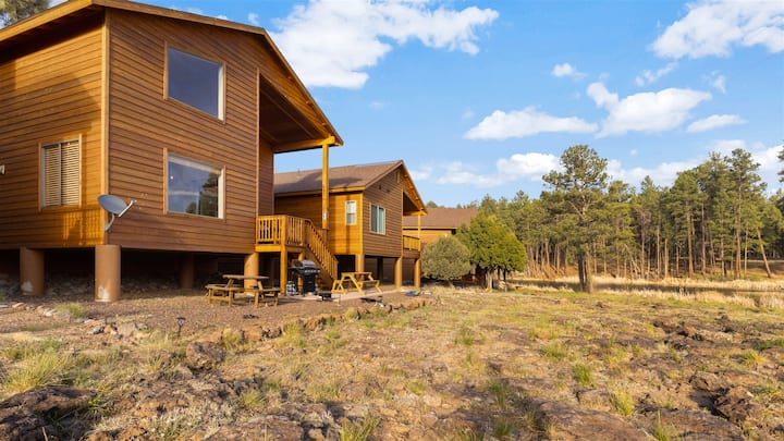 Grumpy Toads Getaway cabin exterior — surrounded by pines