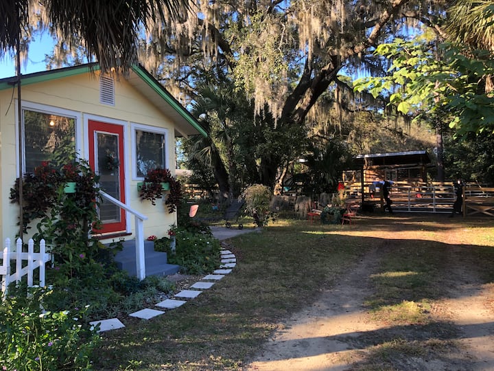 Eustis Cabins Cabins and More Airbnb