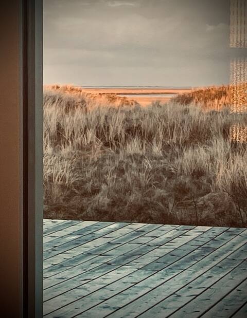 Classic vintage house with sea view -  Sønderho