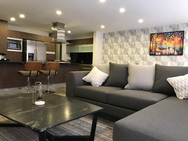 Hermoso Departamento en Polanco Nuevo gallery image 2