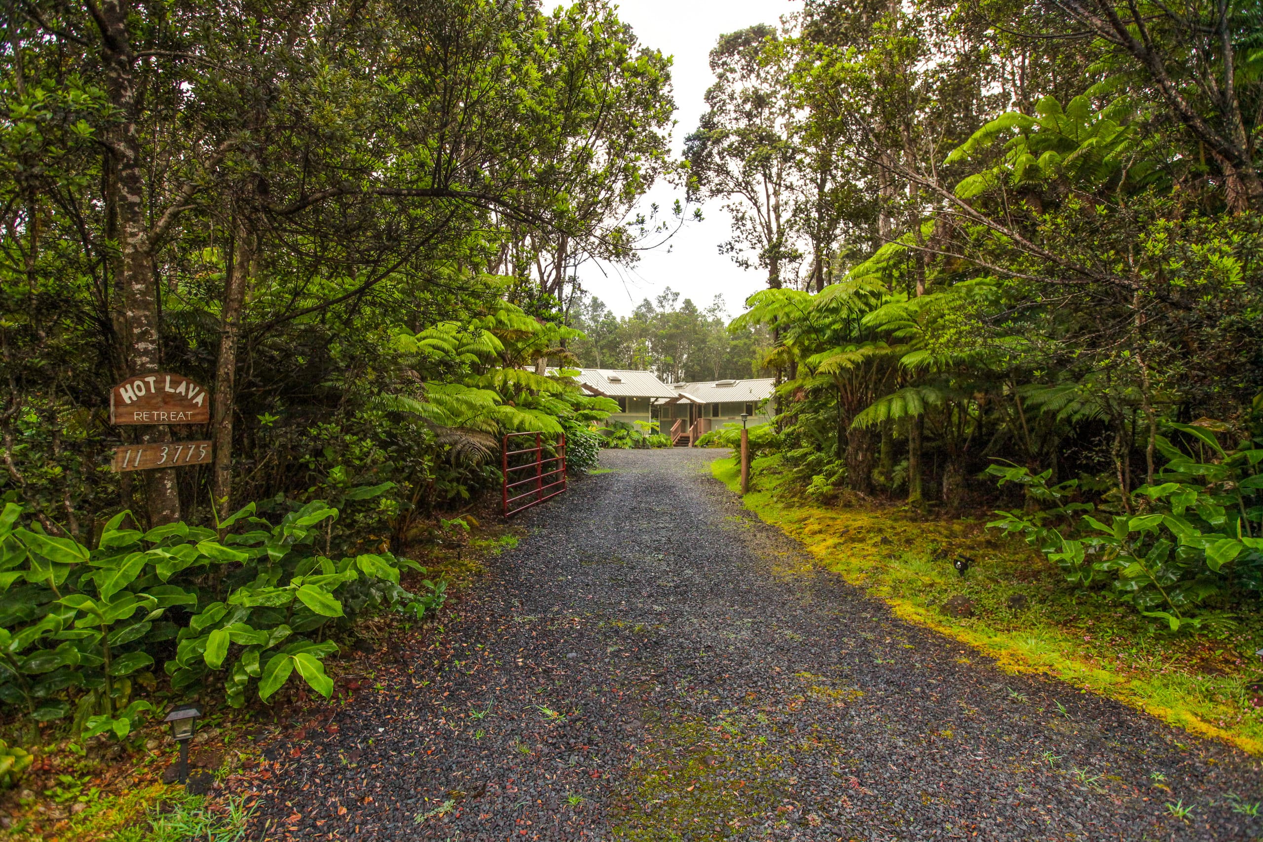 Cabin in Volcano · ★4.88 · 1 bedroom · 1 bed · 1 private bath - Image 16