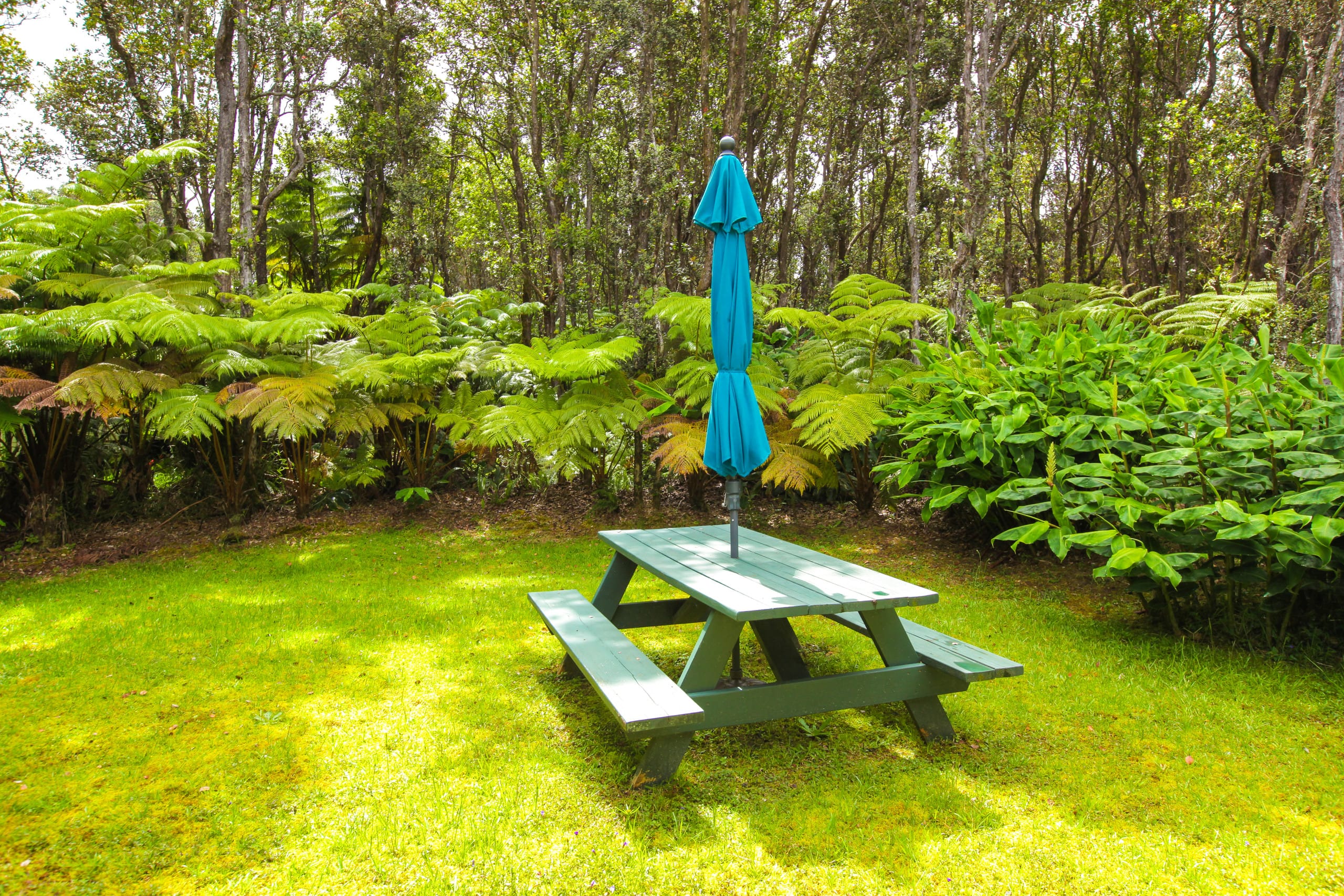 Cabin in Volcano · ★4.88 · 1 bedroom · 1 bed · 1 private bath - Image 14
