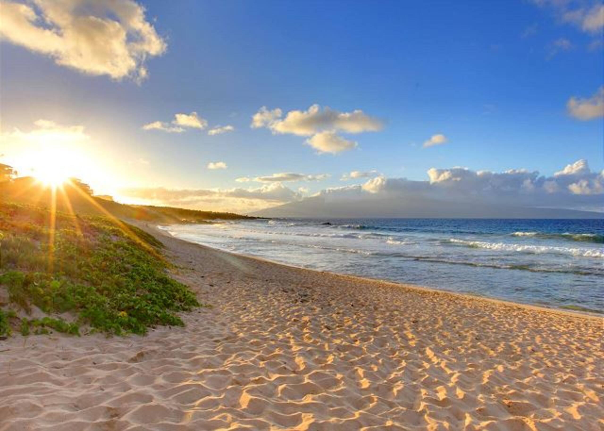 Condo in Lahaina · ★4.79 · 2 bedrooms · 3 beds · 1 private bath - Image 43
