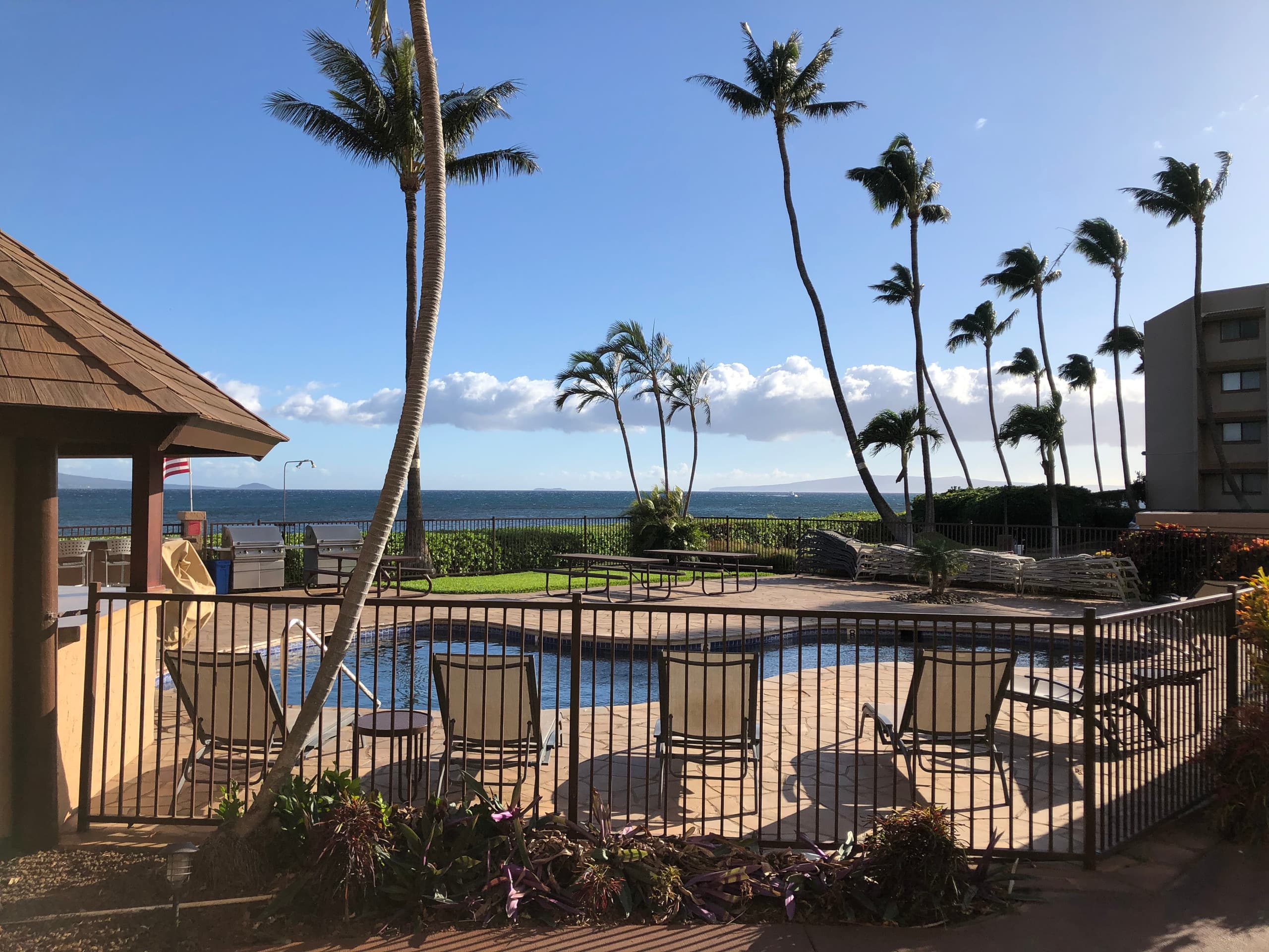 Turtle Cove Oceanfront Views Island Sands Resort - Photo 42