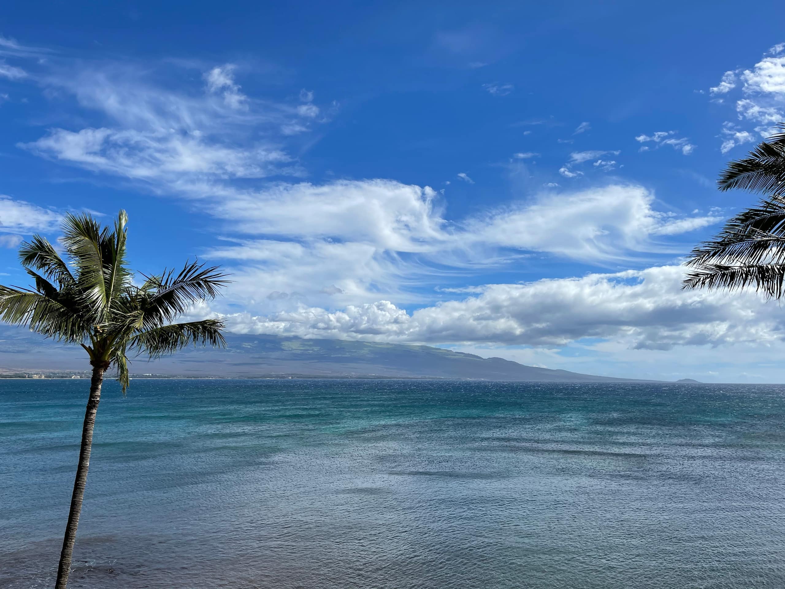 Turtle Cove Oceanfront Views Island Sands Resort - Photo 54