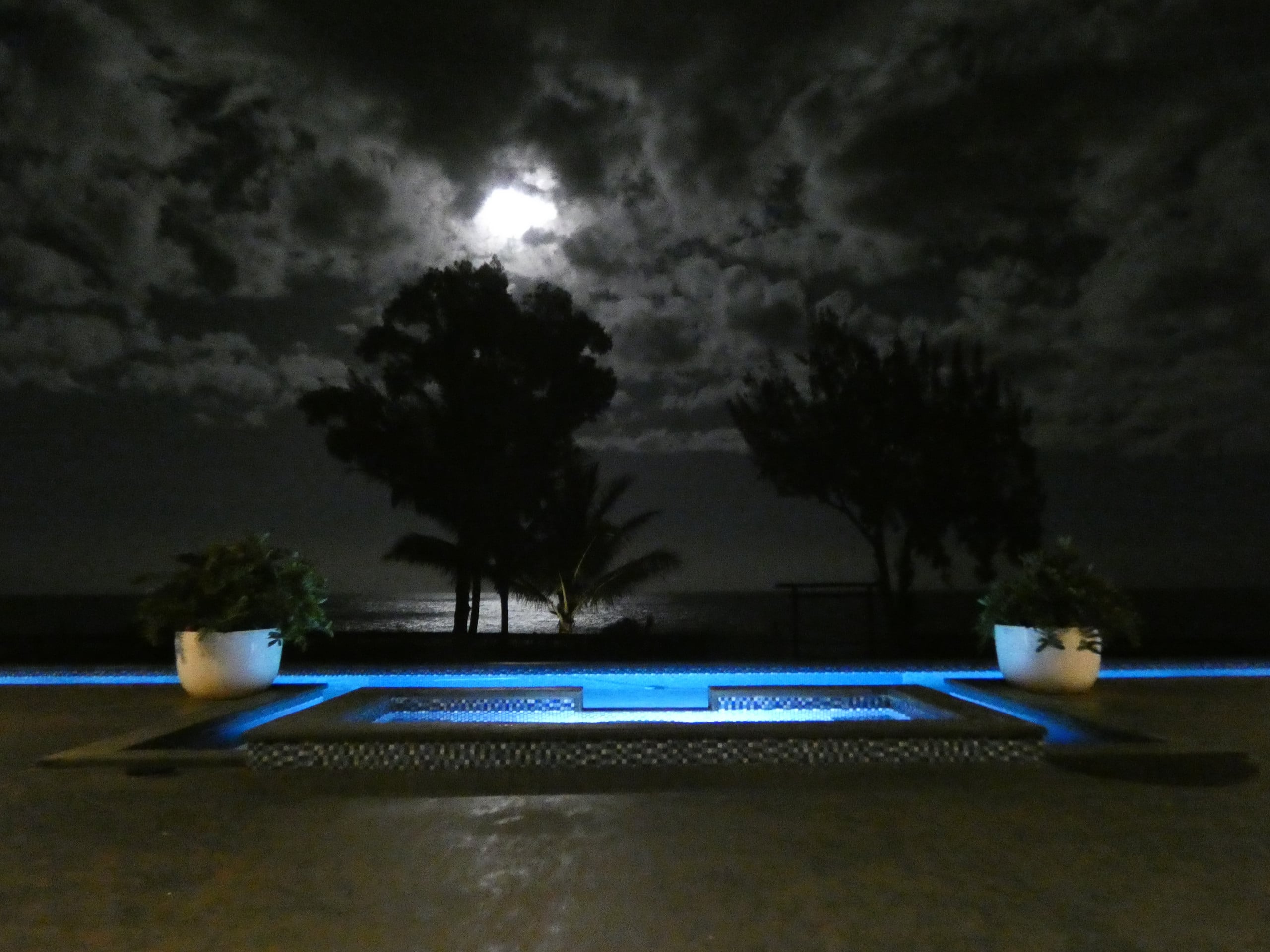 Oceanfront Estate Retreat 4 - Ocean w/ Horses - Photo 28