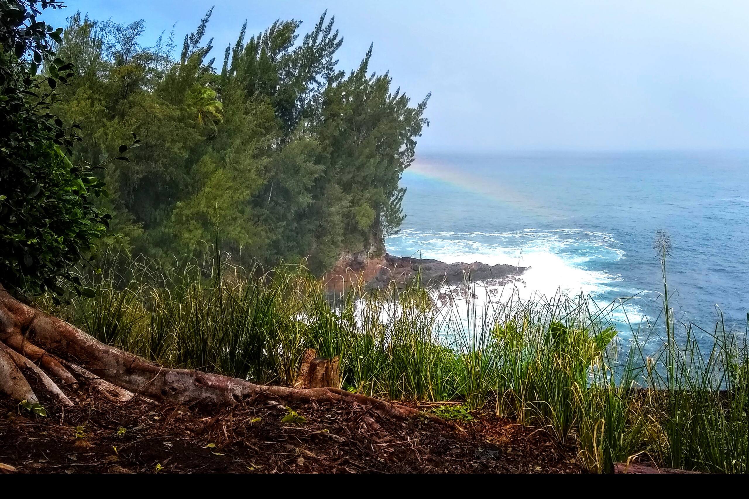 Oceanfront Estate Retreat 4 - Ocean w/ Horses - Photo 29