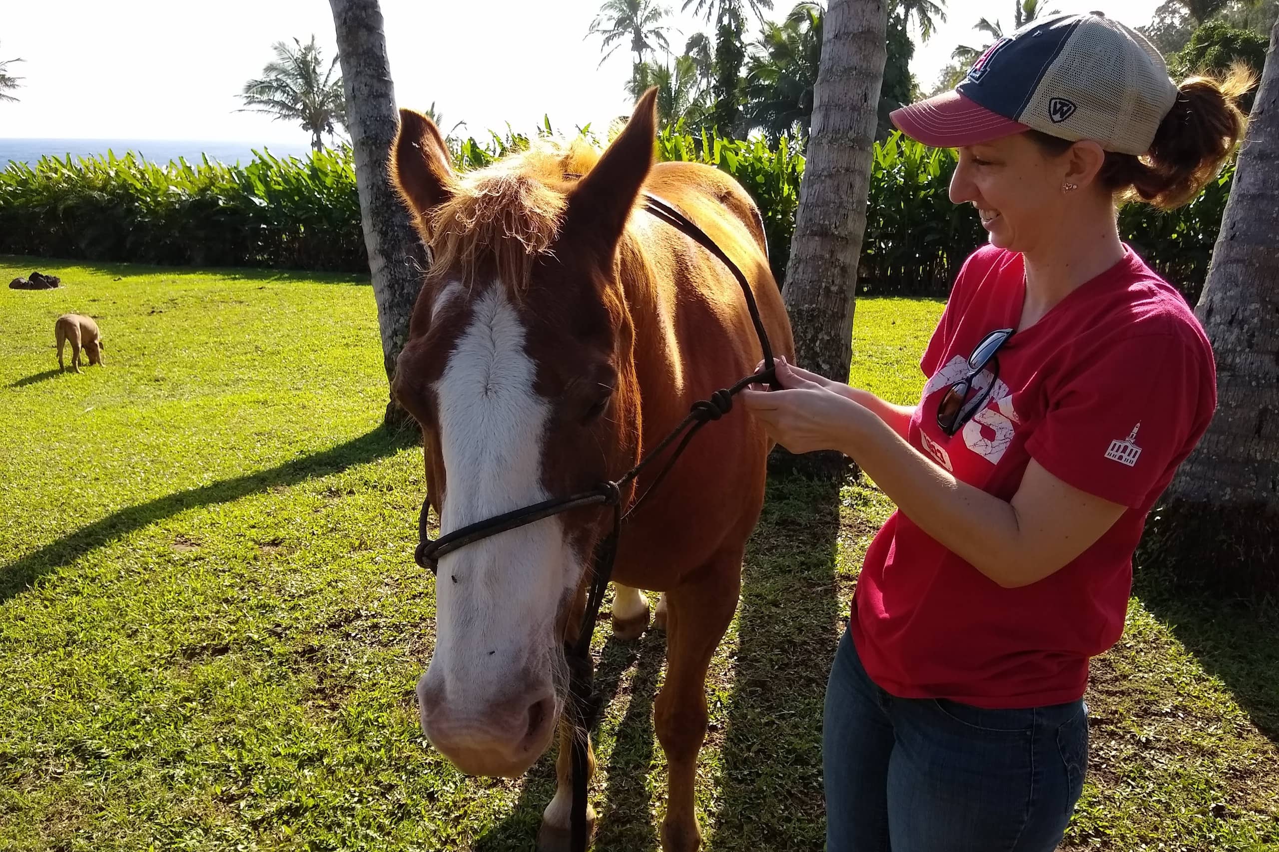 Oceanfront Estate Retreat 4 - Ocean w/ Horses - Photo 30