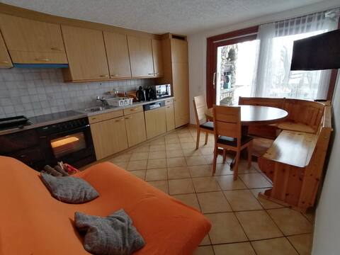 Apartment Olivone with private garden