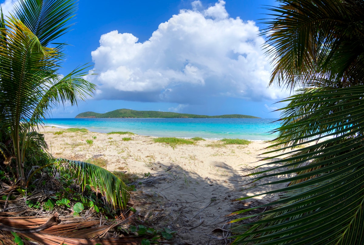 A serene beach scene is framed by palm fronds, with fine sandy shores leading to calm turquoise waters. A distant island is visible under a partly cloudy sky, creating a tranquil coastal landscape.