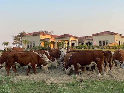 Hacienda Ranch W/ Resort Style Pool