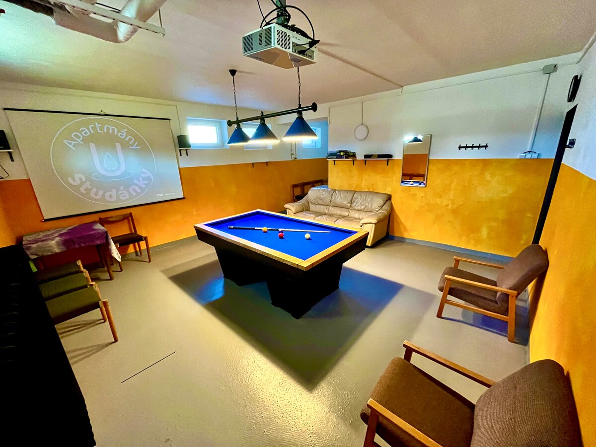 A recreational room features a blue pool table at its center, complemented by a comfortable sofa and several chairs. A projector screen is mounted on the wall, with soft lighting provided by overhead fixtures, creating an inviting space for relaxation and entertainment.