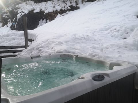 Suzette Villaroger Paradiski Tarentaise Chalet