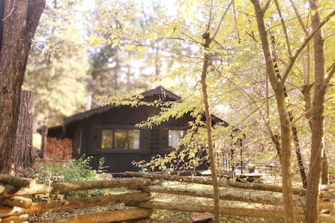 Okanagan Mountainside Cabin ★ Rustic Hideaway