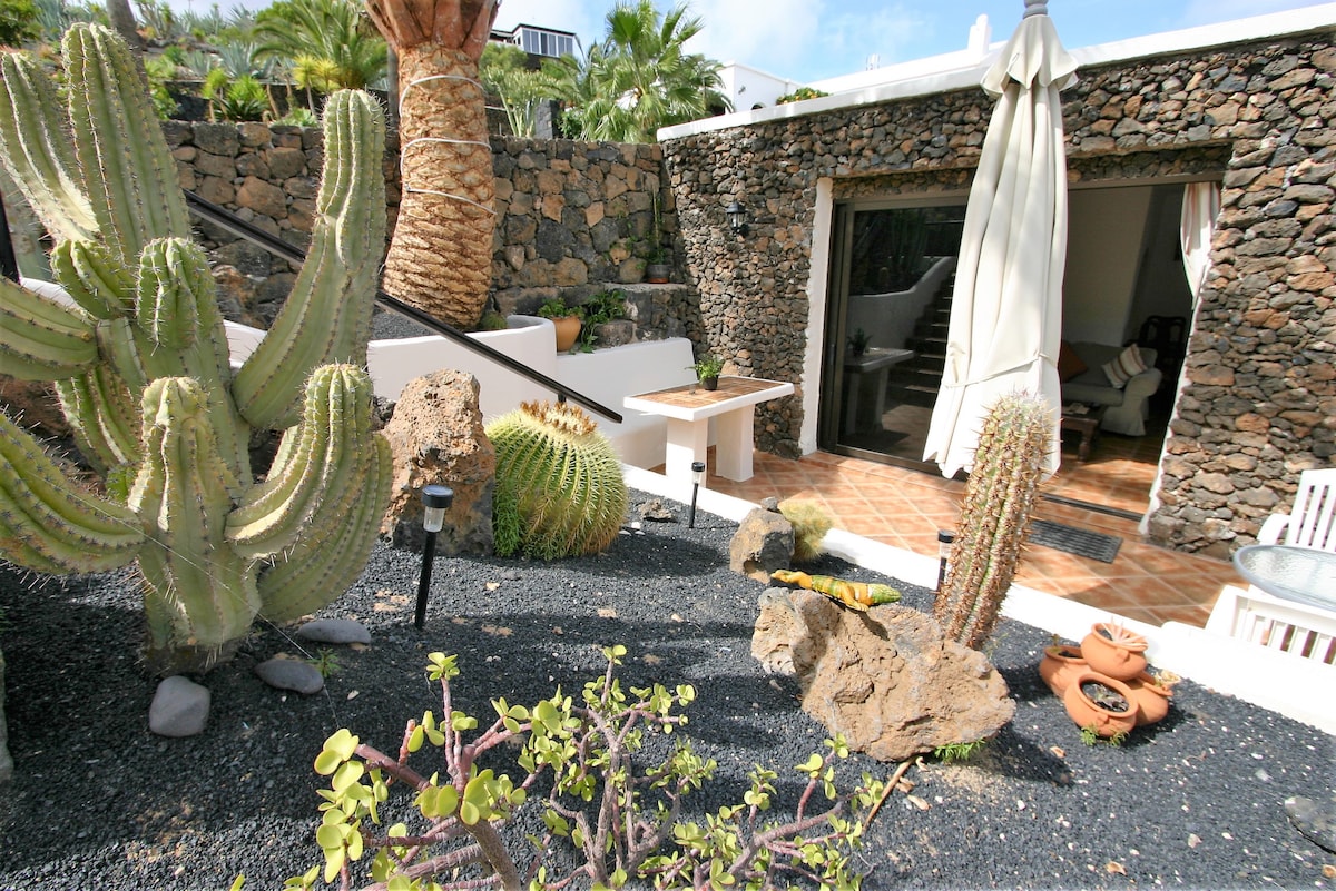 A landscaped terrace features various cacti and tropical plants, complemented by rocky accents. An outdoor table is visible, and large light-colored curtains frame a glass door that opens into the living space of the casita, inviting natural light and a sense of openness.