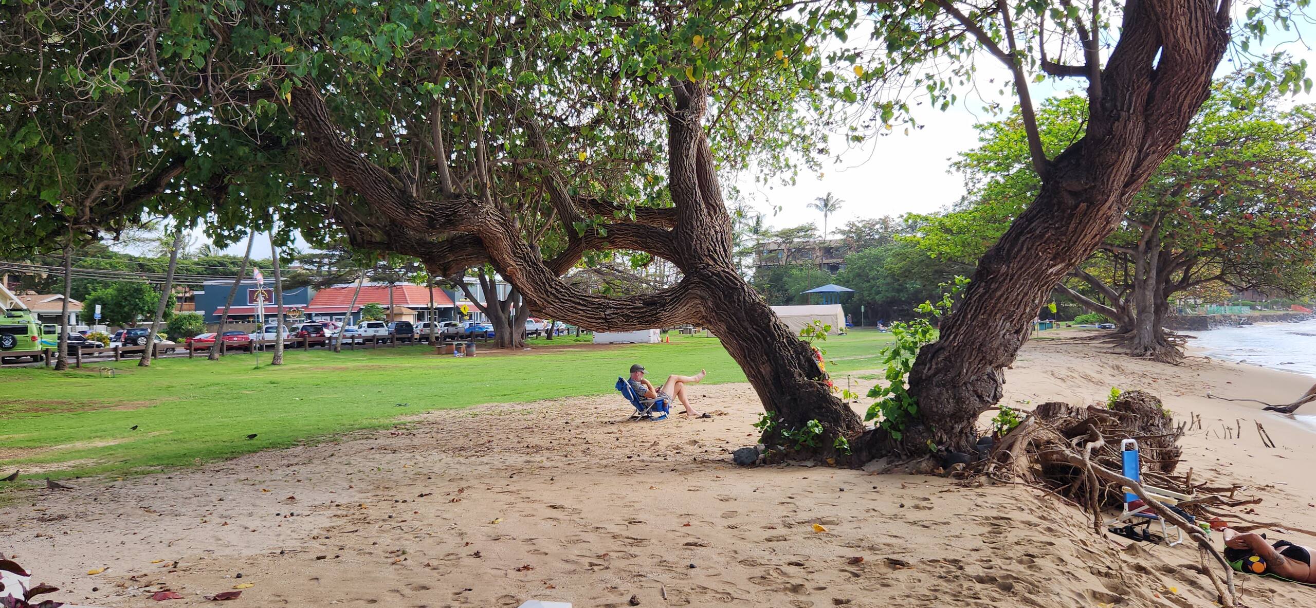 Condo in Lahaina · ★4.73 · 1 bedroom · 1 bed · 1 bath - Image 16
