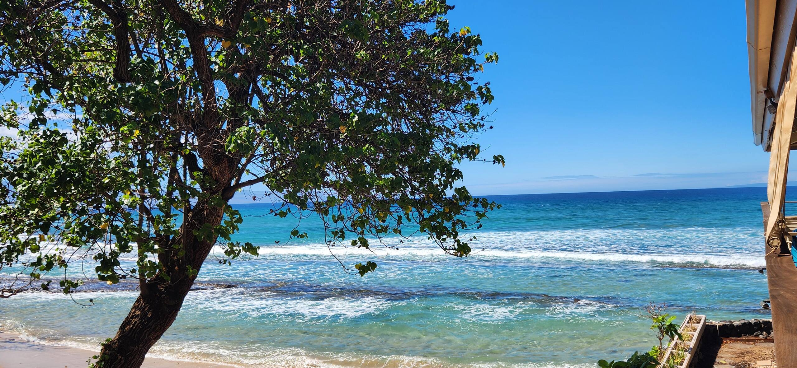 Condo in Lahaina · ★4.73 · 1 bedroom · 1 bed · 1 bath - Image 29