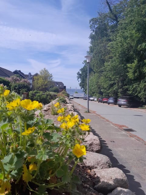 Popular Airbnb listing: 2 room apartment with terrace close to the beach in Neustadt In Holstein