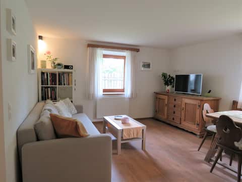 Delightful Apartment with garden