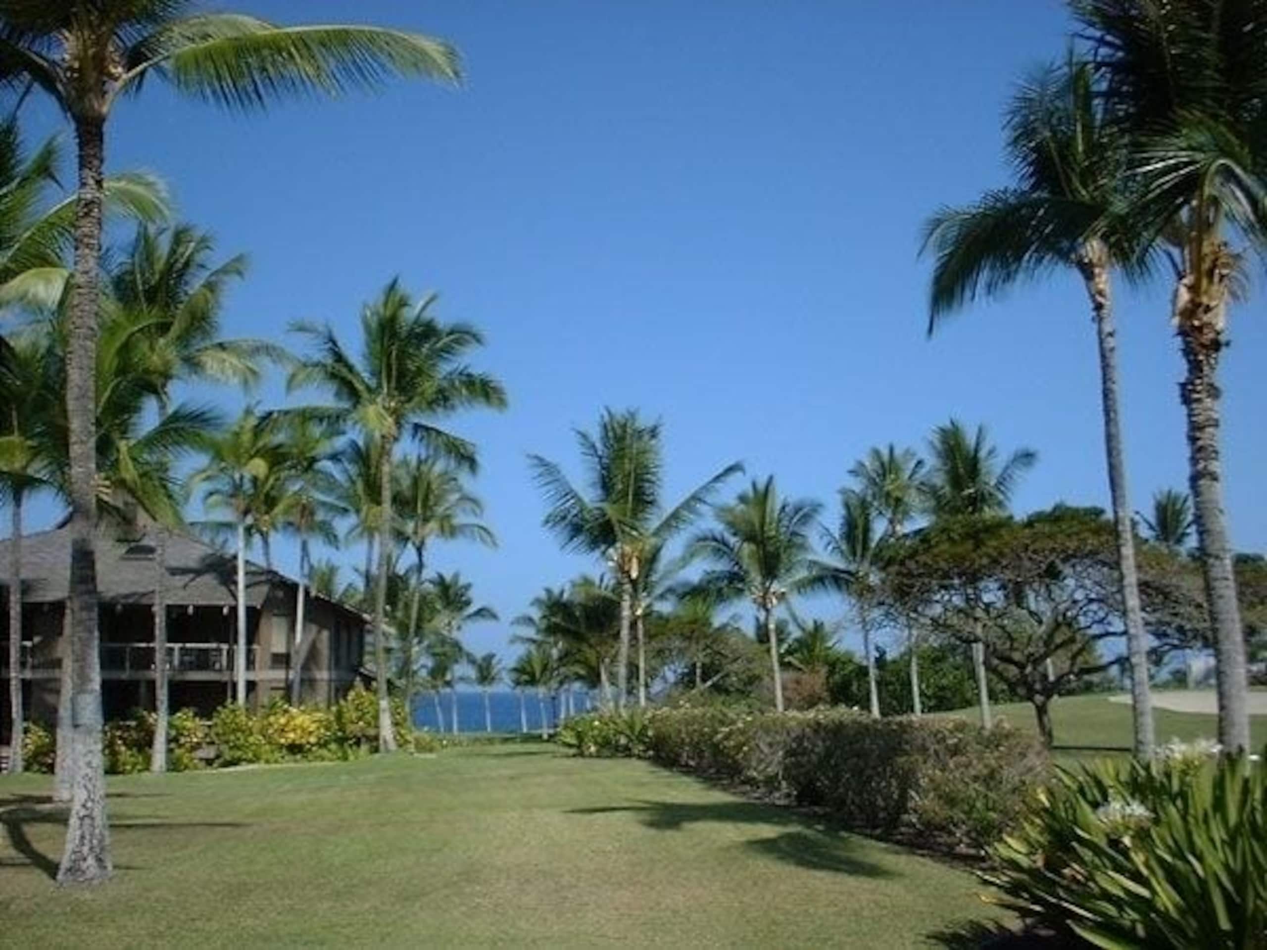 Condo in Kailua-Kona · ★4.85 · 2 bedrooms · 3 beds · 2 baths - Image 5