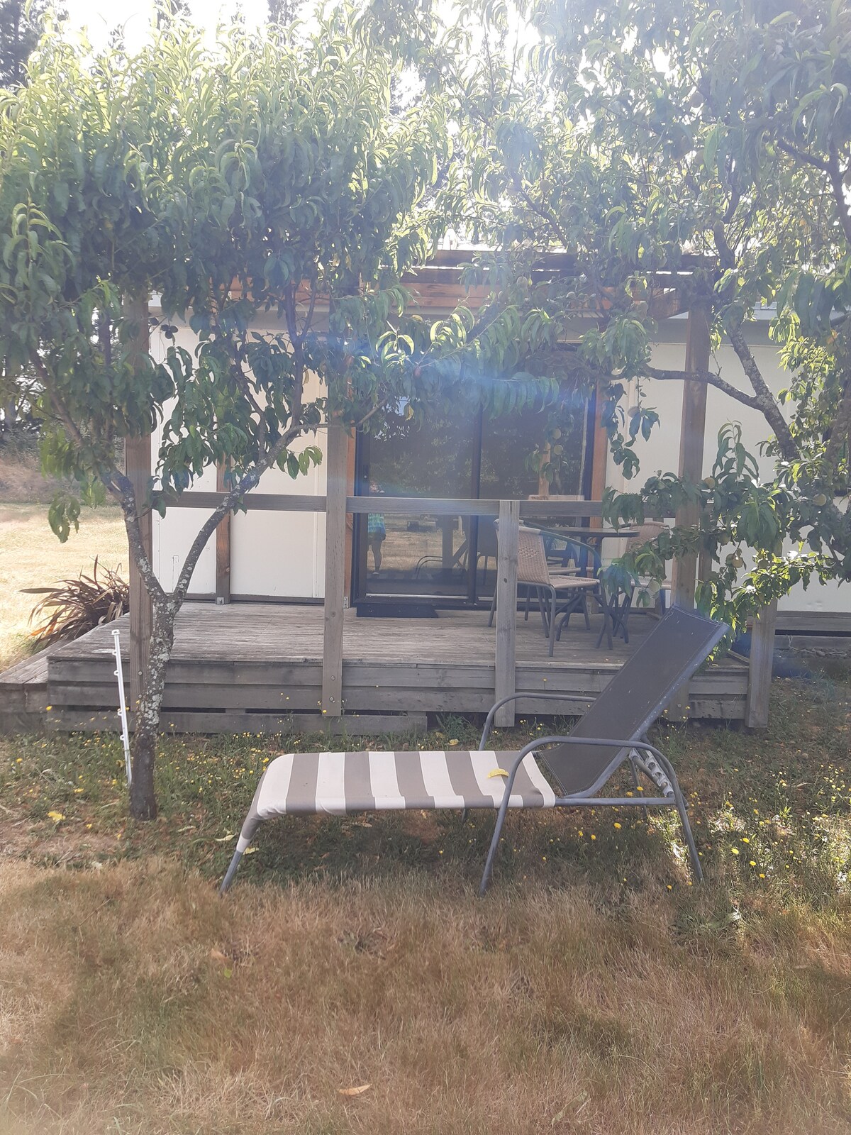 A lounge chair is positioned on grass in front of a small wooden deck. The deck features large glass doors that provide a view into the living space. Surrounding trees frame the area, creating a serene outdoor setting.