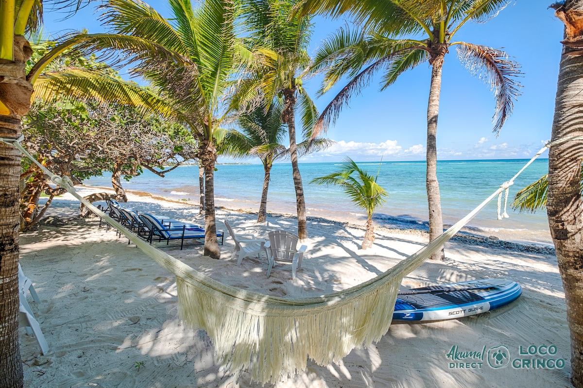 Ah! Villa · Elegant Oceanfront Home with Pool - Airbnb