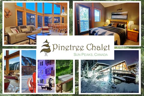 5BA/4BD+Hideaway: PlNETREE CHaLET- HotTub; View!