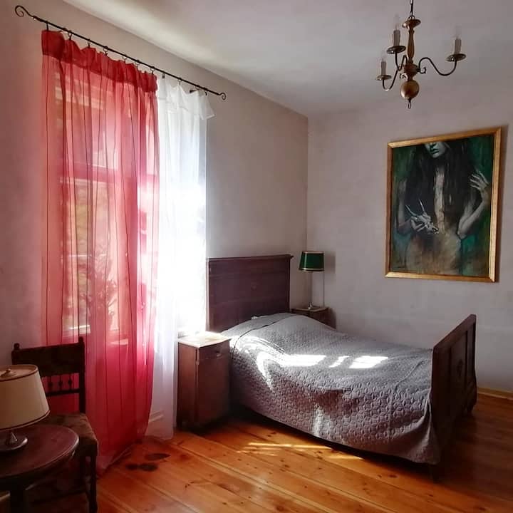 西式公寓是一个两卧室舒适的空间，可俯瞰公园的绿色景观。