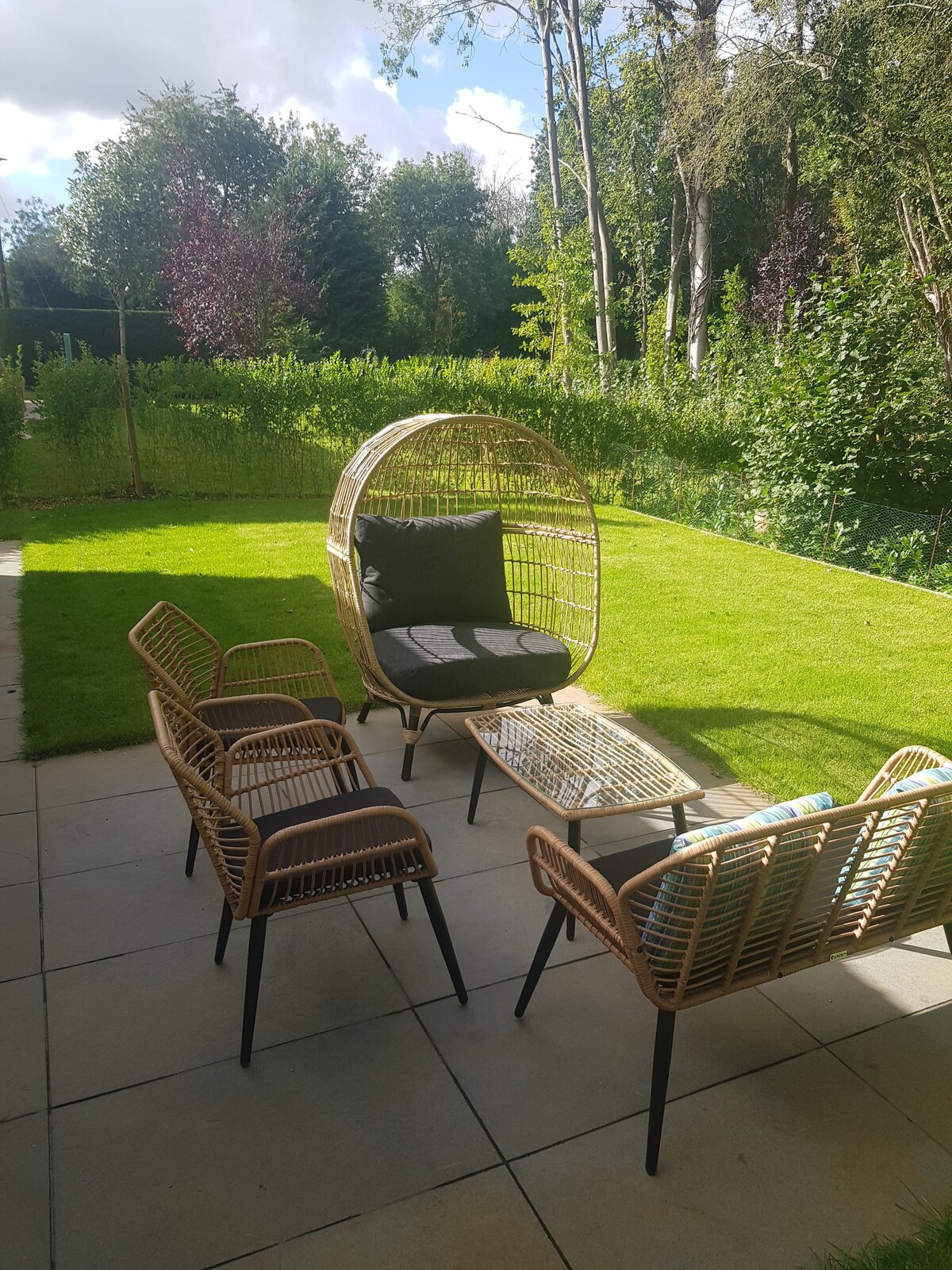 An outdoor seating area features a circular woven chair and four matching chairs surrounding a rectangular glass table. Lush greenery provides a natural backdrop, with well-maintained grass underfoot and trees lining the distance, creating a serene environment.