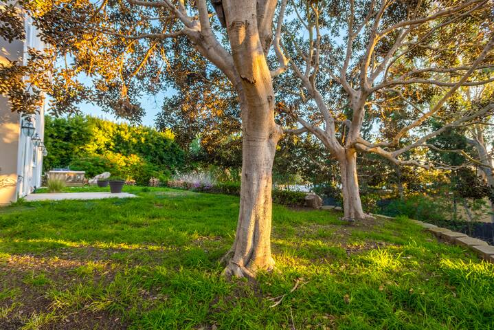 Amazing 6 bedrooms 2 Min to PCH and the beach! gallery image 2