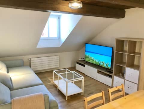 Old Town Attic-Apartment