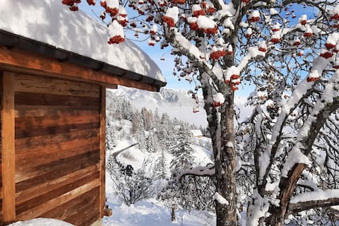 Successful Airbnb property: Traditional Valais cottage in Ayent