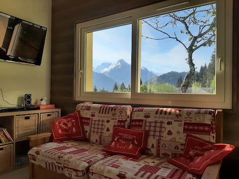 Chalet near Morzine beautiful views 14 beds