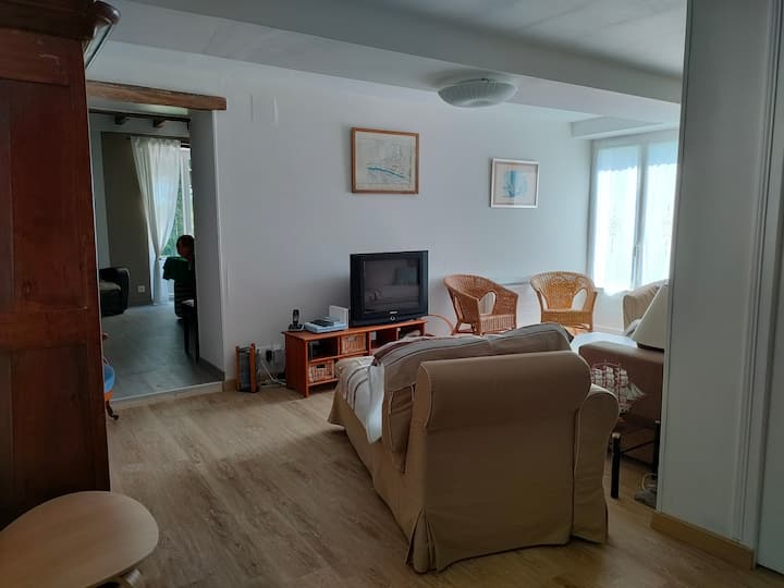 სალონი-ტელევიზორი