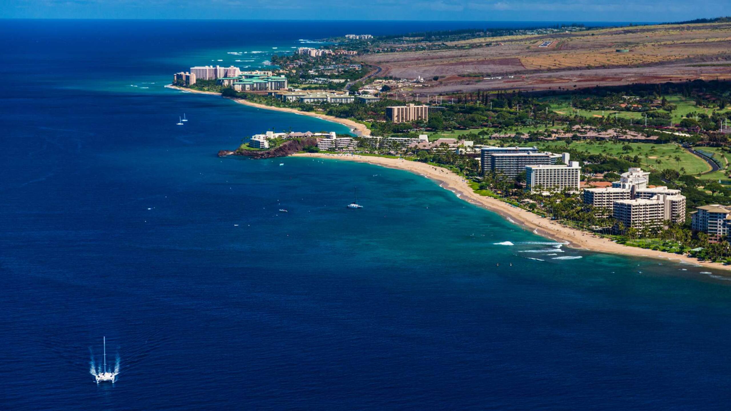 Condo in Lahaina · ★4.93 · 1 bedroom · 1 bed · 1 private bath - Image 48