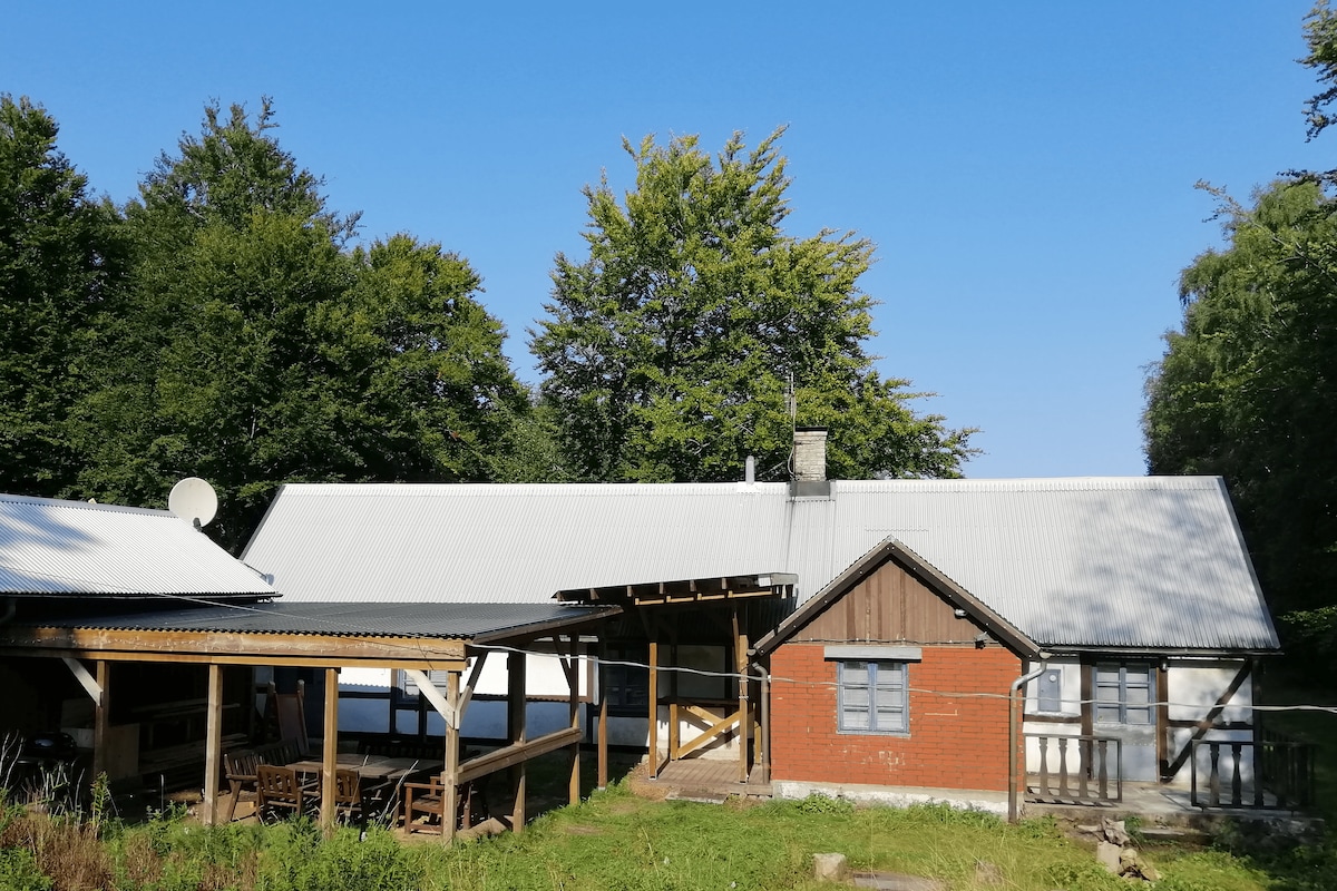 The exterior of a red wooden house is shown, with a white roof and multiple windows. Surrounding trees provide a natural backdrop, enhancing the tranquil setting. A covered terrace extends from the house, offering an outdoor seating area.