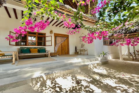 Villa under the palm trees