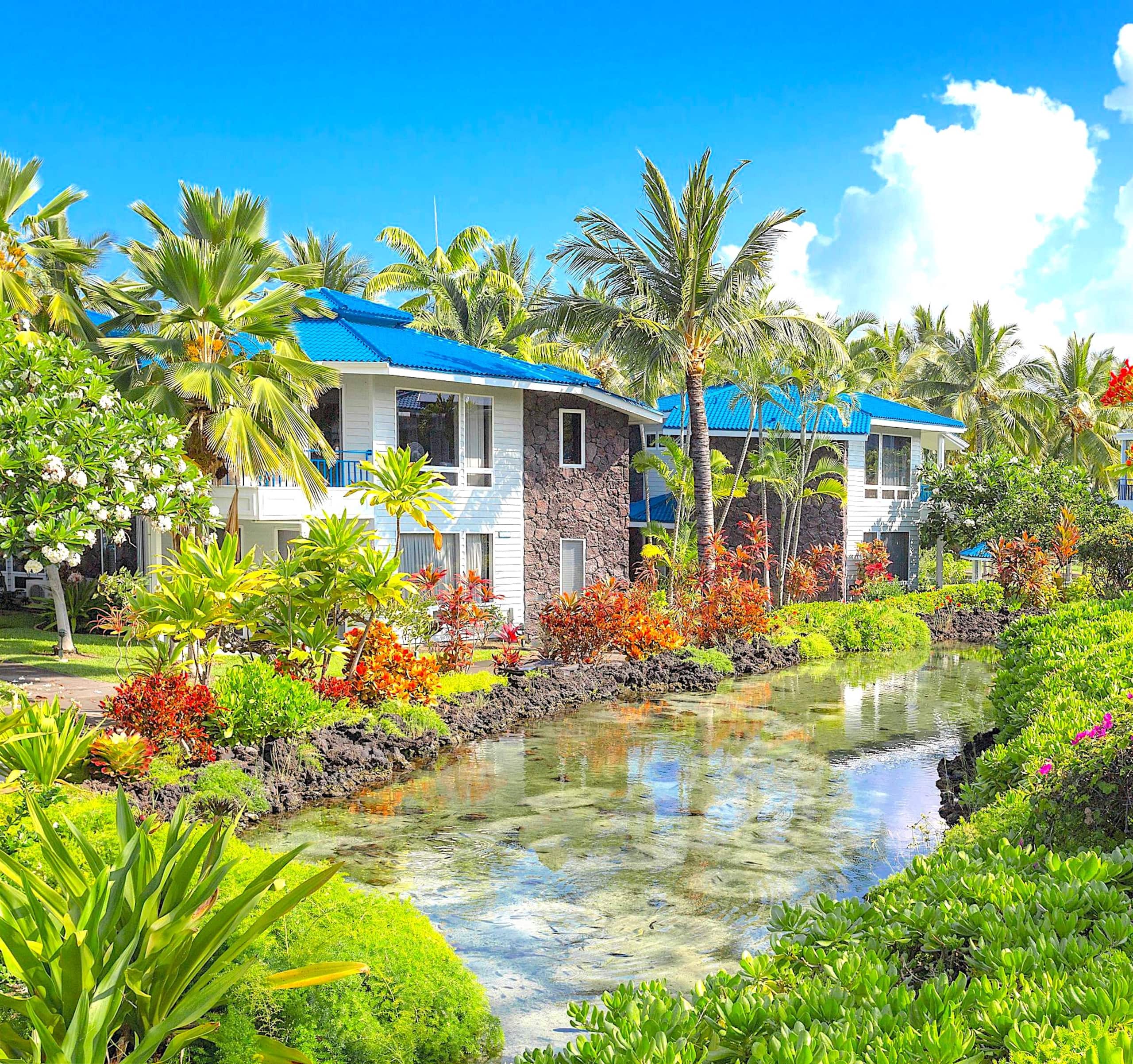 1 Bedroom Suite on Hawaii's spectacular Kona Coast - Photo 18