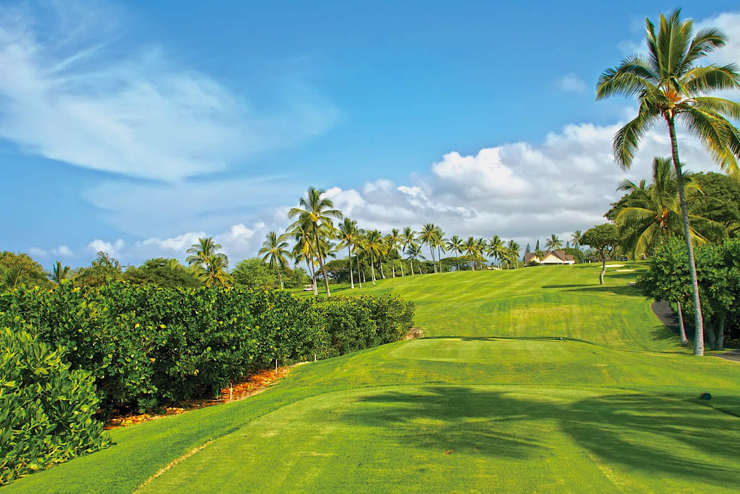 1 Bedroom Suite on Hawaii's spectacular Kona Coast - Photo 16