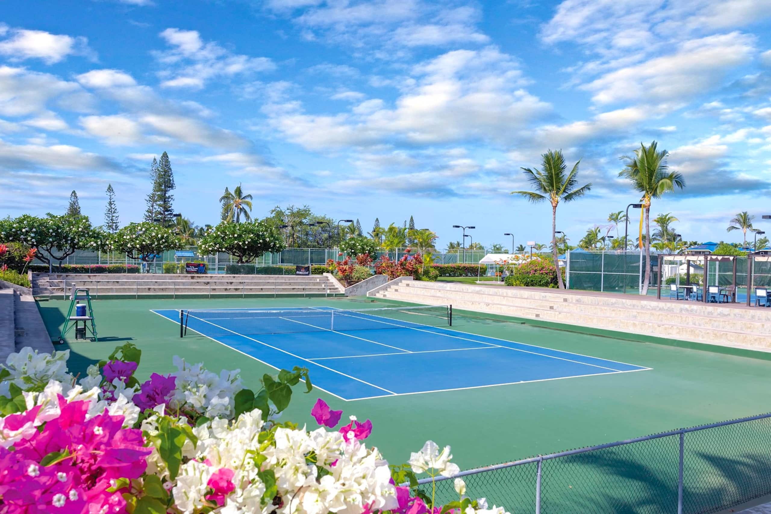 1 Bedroom Suite on Hawaii's spectacular Kona Coast - Photo 14