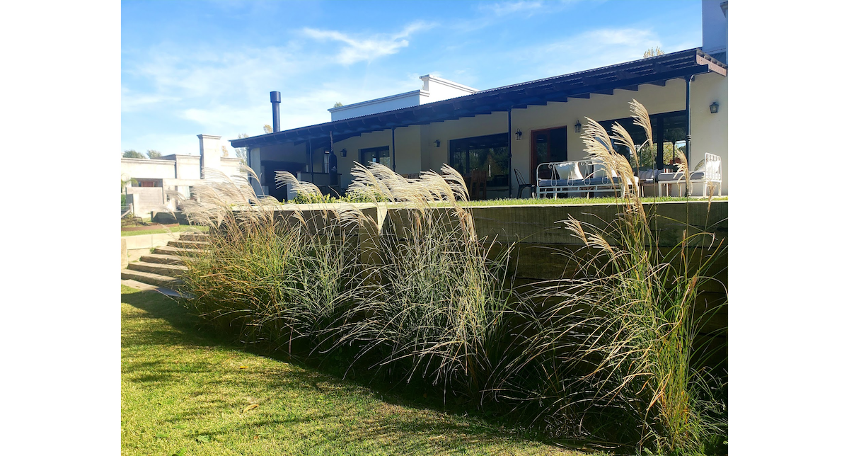 The exterior of the house features a spacious patio surrounded by lush grass and tall ornamental grasses. The structure is highlighted by large windows and a cozy chimney, creating an inviting connection to the natural surroundings.