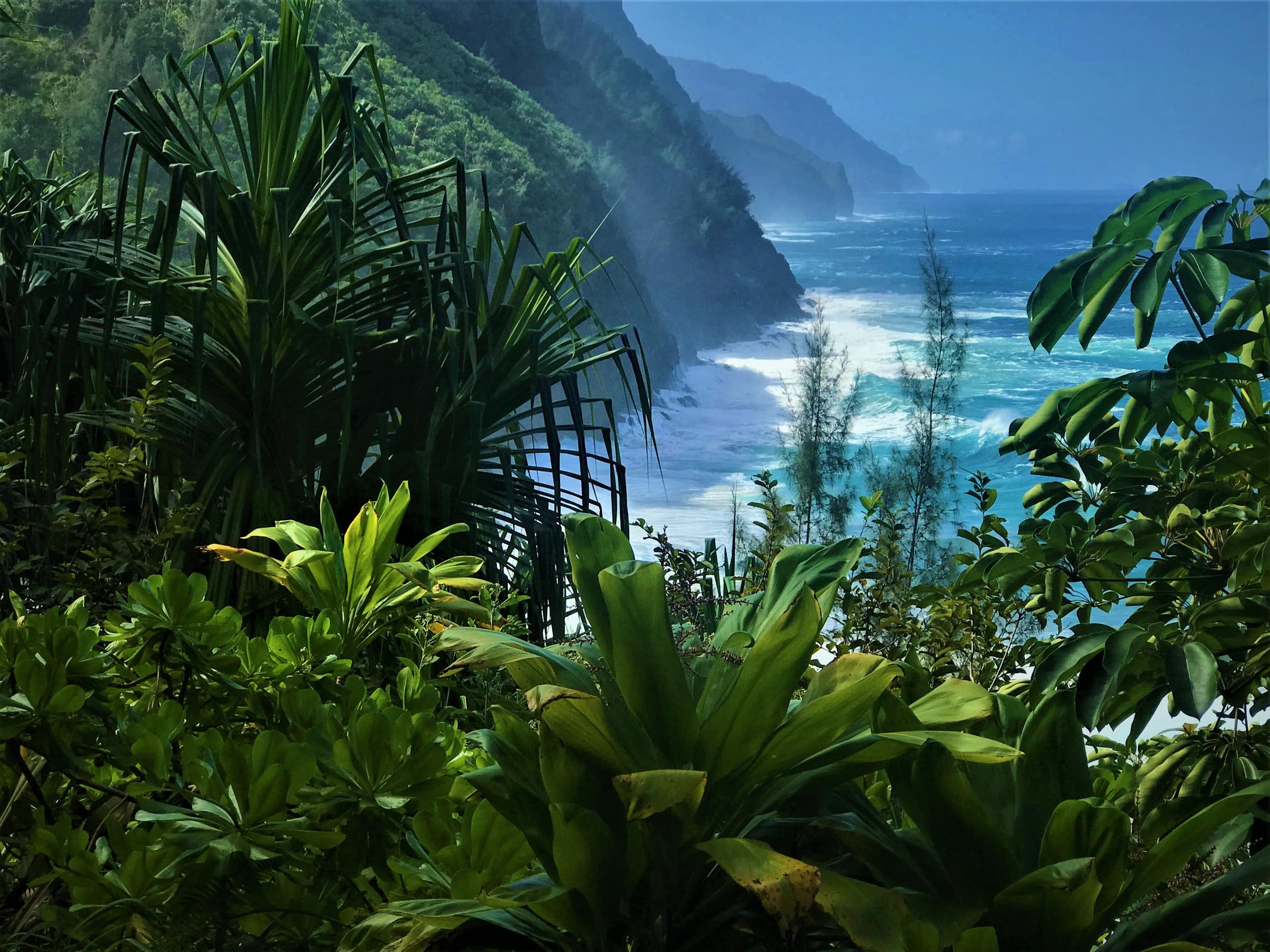 Home in Princeville · ★4.97 · 5 bedrooms · 5 beds · 5 baths - Image 80