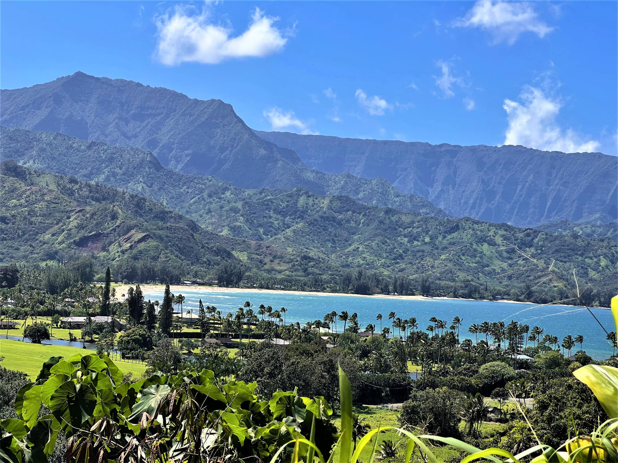 Home in Princeville · ★4.97 · 5 bedrooms · 5 beds · 5 baths - Image 90