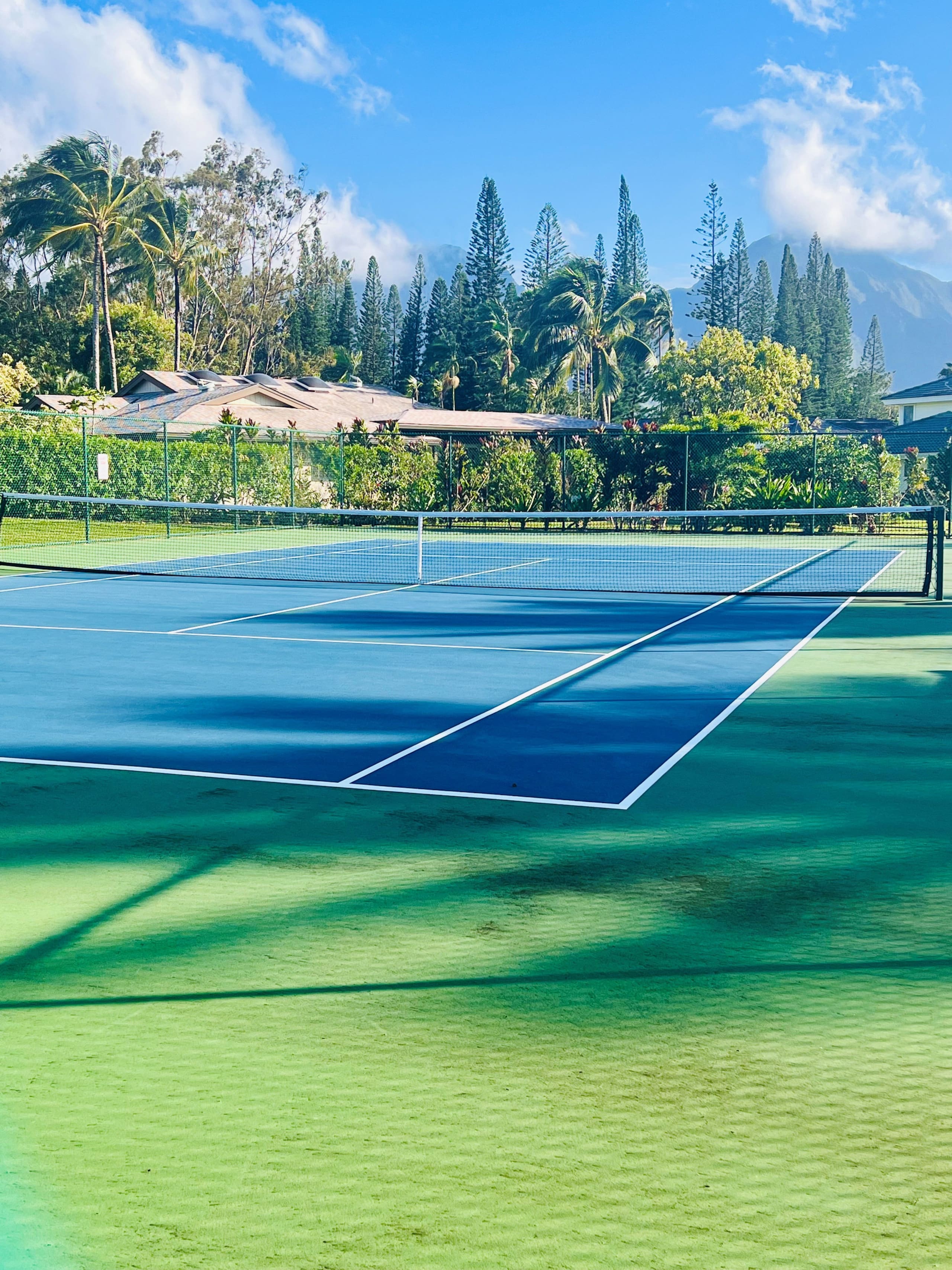 Home in Princeville · ★4.97 · 5 bedrooms · 5 beds · 5 baths - Image 83